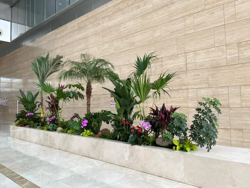 揭秘宁波镇海植物租摆，打造专属的绿色天地！